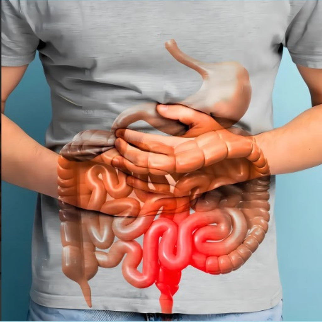 15 Day Cleanse de by Mila MI Amor