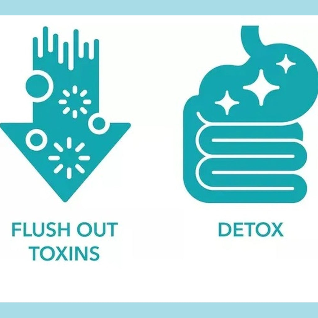 15 Day Cleanse de by Mila MI Amor